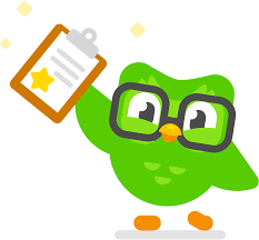 Read more about the article Duolingo